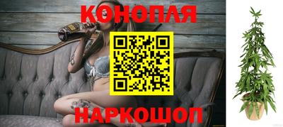 Альфа ПВП Малгобек