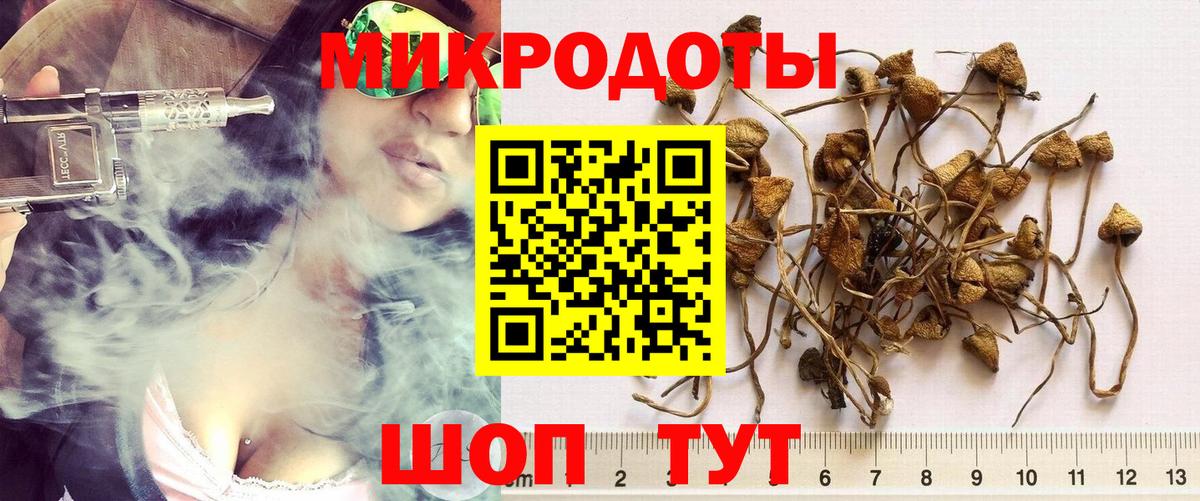 Галлюциногенные грибы прущие грибы Сыктывкар